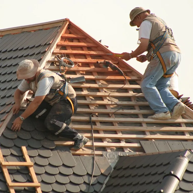 Deux couvreurs sur une toiture en cours de couverture, liteaux et chevrons apparents